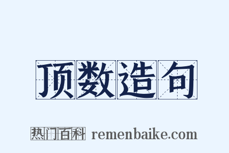顶数造句是什么意思的图片